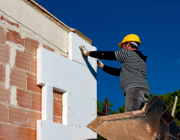 Best Affordable Insulation Services  in Newton, MS