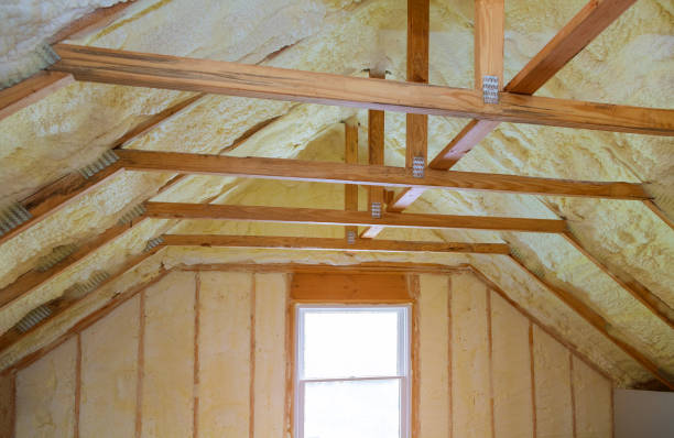 Trusted Newton, MS Insulation Contractor Experts