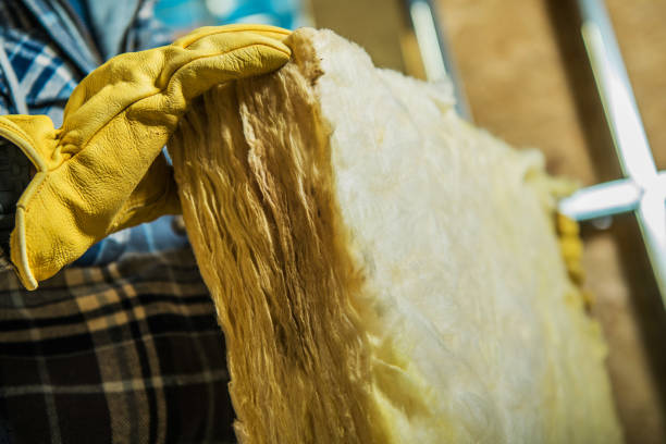 Best Best Insulation Companies  in Newton, MS