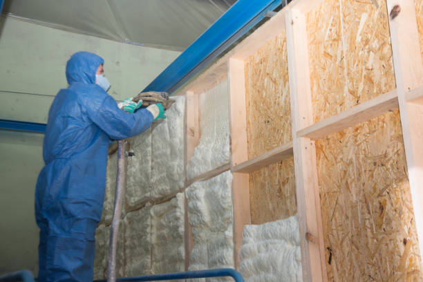 Insulation Inspection Services in Newton, MS