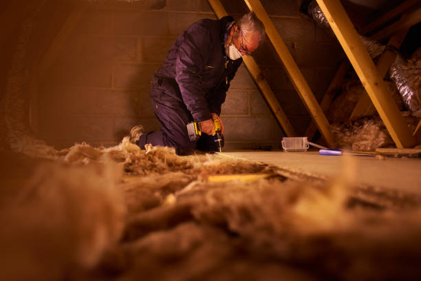 Best Attic Insulation Installation  in Newton, MS